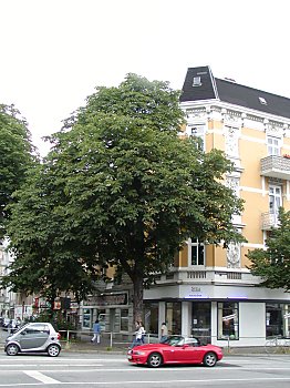 Hamburg Eppendorf Erikastrasse