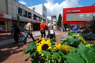 011_15732 - Sonnenblumen eines Blumenladens stehen zum Verkauf auf der Strasse - Fussgnger bummeln durch die Fussgngerzone.