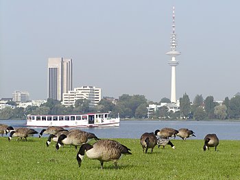 Fotos von Hamburg Schwanenwik / Alster