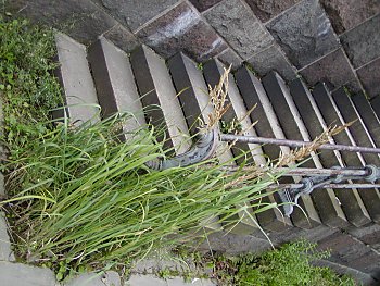 Bilder Hamburg Strassen Zollenbrcke Grningerstr. Fleet