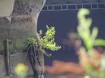 Bilder Hamburg Strassen Zollenbrcke Grningerstr. Fleet