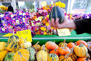 8631 Herbstliche Dekorationsartikel auf dem Landmarkt in Hamburg Bergedorf - Krbisse zur Dekoration - Blumenstrusse.