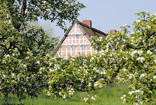 10750_2523 Fachwerkhaus mit Staketenzaun - blhender Baum im Gartene am Ufer der Este. Die 44,7 km lange Este ist ein linker Nebenfluss der Elbe in Niedersachsen und Hamburg - Die untere Este ist von der Mndung bis zum Unterwasser der Schleuse am Buxtehuder Hafen eine Bundeswasserstrae der Klasse I, auf der die 