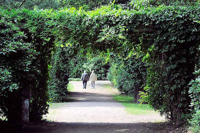 7295 Laubengang im Hamburger Stadtpark an der Grenze zum Stadtteil Eisendorf; ein Paar geht im Park spazieren.