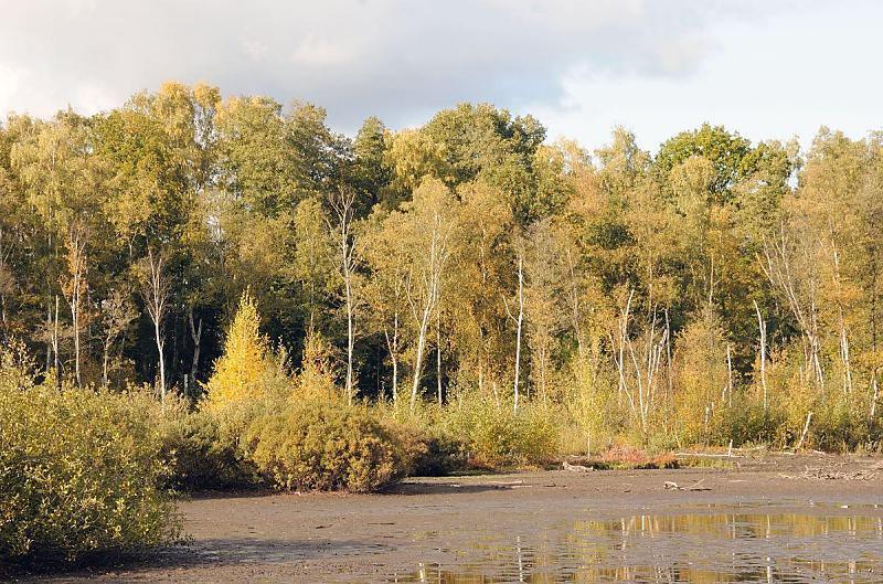 Fotos aus den Hamburger Bezirken + Stadtteilen: Bezirk Hamburg Nord - Bilder vom Stadtteil Eppendorf. Eppendorf ist ein Stadtteil Hamburgs im Bezirk Hamburg-Nord - der Name leitet sich vermutlich vom altdeutschen epen, „am Wasser gelegen“, her. 1140 erstmals erwhnt ist Eppendorf Hamburgs ltests Dorf. Im 19. Jahrhundert wurde Eppendorf zum beliebten Vorort fr wohlhabende Brger aus Hamburg, die dort ihren Landsitz errichteten. In der Folgezeit wurde das niedriggelegene, sehr feuchte Land aufgeschttet und bebaut. Von der ursprnglichen Weide- und Moorlandschaft hat sich nur das Eppendorfer Moor an der Tarpenbek erhalten, das seit 1982 unter Naturschutz steht. 1894 wurde Eppendorf als Stadtteil in die Stadt Hamburg eingemeindet.