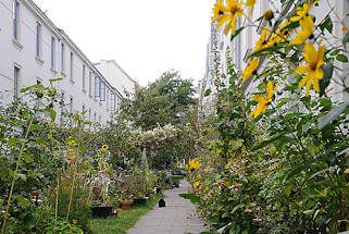 7841 Terrassenhaeuser am Falkenried - Grten und Blumen vor den Husern. Leben in Hamburg Hoheluft Ost.