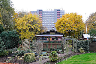 1466 Kleingartenverein am Friedrichshuder Weg - Schrebergarten im Stadtteil Lurup - Hochhaus im Hintergrund.