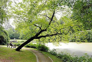 6263 Ohlsdorfer Friedhof - mit fast 400 Hektar der grte Parkfriedhof Europas - Teich mit Bumen, Holzbank mit Parkbesucher am Wasser.