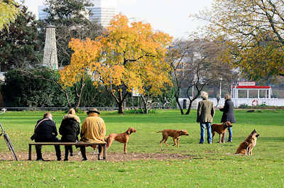 3643 Alsterwiese mit Herbstbaum - Hundeauslauf an der Alster - im Hintergrund die Haltstelle Fhrdamm des Alsterschiffs.