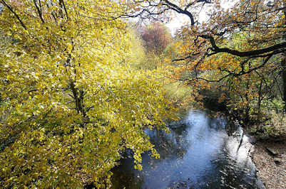 1709 Hamburg Flsse - Lauf der Alster - Alsterwanderweg.