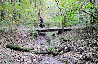 2360 Lauf der Rodenbek im Rodenbeker Quelltal in Hamburg Wohldorf-Ohlstedt - Holzbrcke ber den Bach.