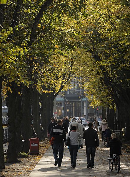 11_18989 Herbst in der Hamburger City - SpaziergngerInnen und FahrradfahrerInnen in der Hamburger Innenstadt am Neuer Jungfernstieg Richtung Jungfernstieg. Die Lindenallee an der Hambuger Binnenalster hat ihre Bltter in herbstliches Gelb gefrbt, das in der Sonne leuchtet.  www.christoph-bellin.de
