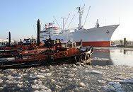 11_22740 Schlepper liegten bei den Landungsbrcken an den Dalben. Eisschollen treiben auf dem Wasser der Elbe. Im Hintergrund das Museumsschiff CAP SAN DIEGO. www.fotograf-hamburg.de