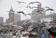 214_5164 Touristen fttern die Mwen auf der Hafen-Promenade an den St. Pauli Landungsbrcken. Im Hintergrund der restaurierte Uhr- und Pegelturm der denkmalgeschtzten Anlage.