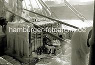 219_9_84 An Bord des stark vereisten norwegischen Schiffs im Hamburger Sandtorhafen fttert ein Mitglied der Mannschaft Pinguine, die mitgereist sind. Der Smutje / Schiffskoch, der wahrscheinlich das Futter fr die Tiere gebracht hat, sieht dem auergewhnlichen Treiben mit den Hnden in der Tasche zu.