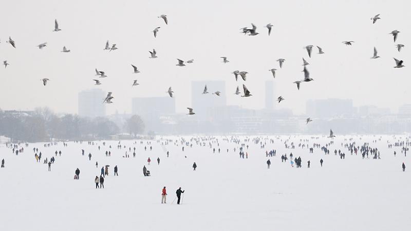 Hamburger Alster Winter - Schwarm Mwen im Winterhimmel. 51_6068 BEin Schwarm Mwen berquert die Menschenmenge auf der zugefrorenen Alster - die Hamburger Silhouette von St. Georg verschwindet am gegenber liegenden Alsterufer im Dunst des Winternachmittages.