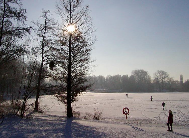 Fotografien vom Hamburger Winter - Spaziergang im Schnee. 274_1010037 Die Wintersonne steht hinter den kahlen Bäumen am Stadtparksee - einige Spaziergänger gehen zu Fuss oder mit Skiern über den zugefrorenen See. Der Rettungsring am Seeufer wirft einen langen Schatten auf den Rundweg um den See.