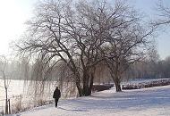 278_1010011 Spaziergang am Morgen im Hamburger Winter - die Sonne scheint auf den winterlichen Stadtpark. Eine Parkbesucherin geht auf dem Rundweg, der um den Stadtparksee führt. 