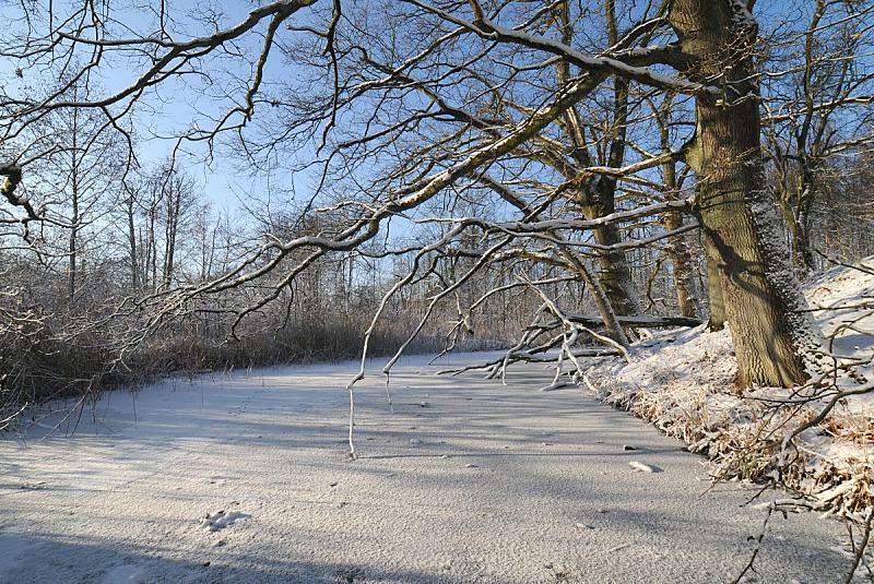 Hamburger Wintermotive; Hamburgs Fluss: die Alster zugefroren. 283_2933 Der Hamburger Fluss die Alster liegt zugefroren in der Wintersonne. Kahle schneebedeckte Bume stehen am Ufer der Alster im Stadtteil Hamburg Duvenstedt / Poppenbttel. 