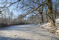 283_2933 Der Hamburger Fluss die Alster liegt zugefroren in der Wintersonne. Kahle schneebedeckte Bume stehen am Ufer der Alster im Stadtteil Hamburg Duvenstedt / Poppenbttel.