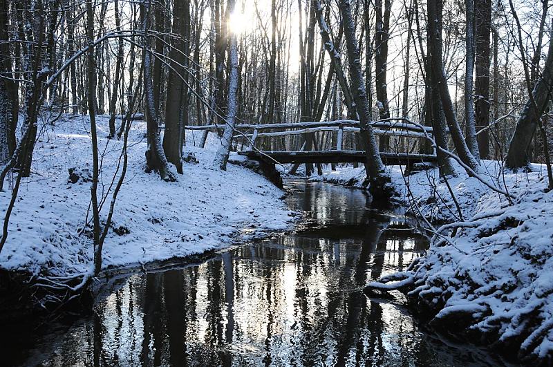 Hamburger  Wintermotive; Hamburgs Alster, Holzbrcke / Poppenbttel.  284_2977 Die Alster schlngelt sich durch den Wald bei Hamburg Poppenbttel. Die niedrige Wintersonne strahlt durch die Baumstmme im Poppenbtteler Wald -  eine Holzbrcke fhrt ber den noch schmalen Hamburger Fluss.