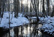 284_2977 Die Alster schlngelt sich durch den Wald bei Hamburg Poppenbttel. Die niedrige Wintersonne strahlt durch die Baumstmme im Poppenbtteler Wald -  eine Holzbrcke fhrt ber den noch schmalen Hamburger Fluss.