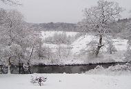 286_1010088 Die Wiesen und Bume am Alsterlauf sind tief verschneit. Hamburger Winterbild - Schnee und Eis am Alsterufer in Poppenbttel.