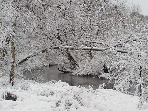 Foto Winterlandschaft an der Alster bei Poppenbüttel. 287_1010027 Die Alster schlängelt sich bei Hamburg Poppenbüttel durch die Winterlandschaft. Sträucher, Wiese und Bäume am Ufer des Hamburger Flusses sind mit dichtem Schnee bedeckt.