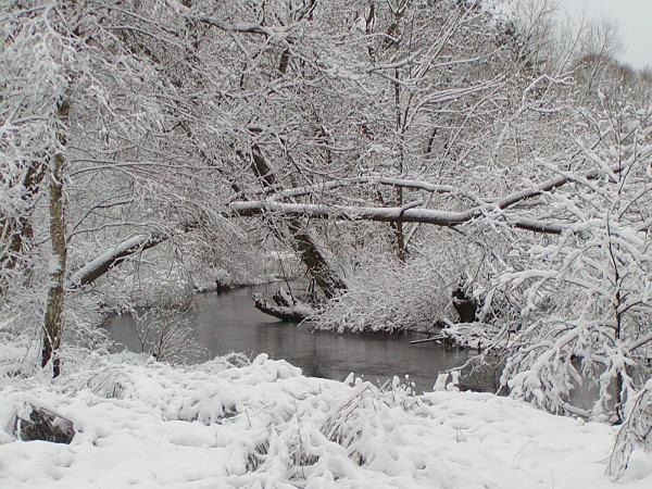 Foto Winterlandschaft an der Alster bei Poppenbttel. 287_1010027 Die Alster schlngelt sich bei Hamburg Poppenbttel durch die Winterlandschaft. Strucher, Wiese und Bume am Ufer des Hamburger Flusses sind mit dichtem Schnee bedeckt.