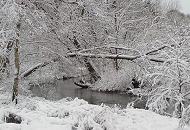 287_1010027 Die Alster schlngelt sich bei Hamburg Poppenbttel durch die Winterlandschaft. Strucher, Wiese und Bume am Ufer des Hamburger Flusses sind mit dichtem Schnee bedeckt.