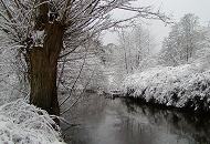 288_1010026 Weiden und dichtes Strauchwerks stehen tief verschneit am Ufer des Flusses Alster. Der graue Winterhimmel verspricht noch mehr Schnee. 