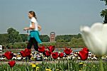 Fotos von Hamburg - Bilder der Hamburger Parks und Grnanlagen   