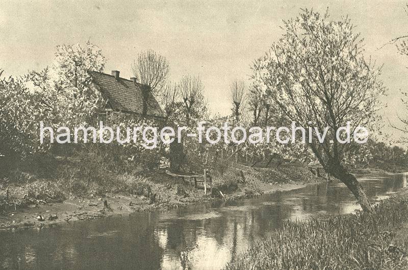 Historische Bilddokumente aus dem Alten Land; Flusslauf der Lühe. Ebbe auf der Lühe - niedriger Wasserstand. 021_1_32 Die Lühe führt einen niedrigen Wasserstand, die Ufer des Wasserwegs im Alten Land sind freigelegt, der Bootssteg ragt weit aus dem Wasser heraus. Am Ufer steht ein Wohnhaus und blühende Obstbäume.