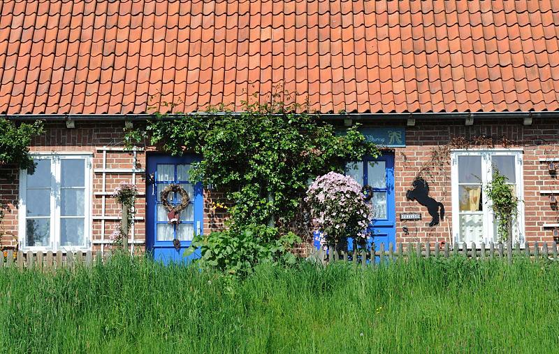 025_4112 Malerisch gelegenes Wohnhaus direkt am Lühedeich - die Eingangstüre sind in Blau gehalten, grüne Rankpflanzen wuchern an der Hauswand empor. Im Vordergrund das saftige hohe Gras auf der Deichkrone. Fotografien aus dem Obstanbaugebiet an der LÜHE. Blaue Türen am Deich.