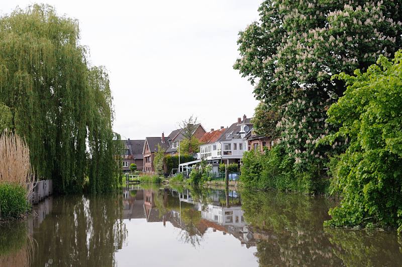 Motive aus dem Alten Land - der Wasserweg Este. Weiden und blühende Kastanienbäume am Flussufer. 056_7547 Das Sportbootrevier der Este führt entlang der Obstfelder und kleinen Ortschaften, deren Häuser direkt am Flussufer liegen. Zweige der Weiden hängen über den Flusslauf - mächtige blühende Kastanien stehen am Ufer.