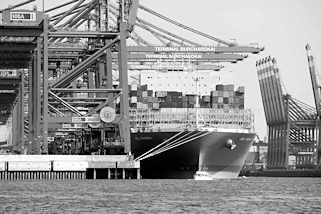 0365 Bug der MOL TRIUMPH unter Containerbrcken im Waltershofer Hafen - Container Terminal Burchardkai in Hamburg; Schwarz-Weiss Darstellung.