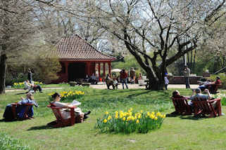 1351_2579 Frhlingssonne im Hamburger STadtpark - ParkbesucherInnen im Hummelstuhl auf der Liebesinsel in der Sonne, blhende Osterglocken.