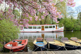 7127 Blte der japanischen Zierkirsche auf der Liebesinsel im Hamburger Stadtpark; ein Fahrgastschiff der weien Alsterflotte kommt vom Stadtparksee und fhrt zurck in den Goldbekkanal - im Vordergrund Boote am Steg der Bootsvermietung im Stadtpark. 