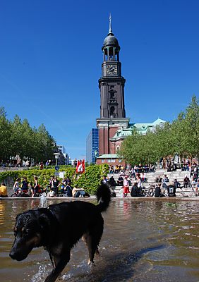 011_15546 - Treffpunkt der Euromayday Parade fr globale Rechte am Michel; ein Hund sucht Abkhlung im Wasserbecken. 