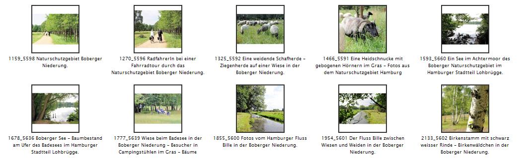 Das Naturschutzgebiet Boberger Niederung ist eines der artenreichsten in der Hansestadt Hamburg. Das etwa 350 Hektar groe Gebiet wurde 1991 unter Schutz gestellt und beinhaltet die seit 1968 bestehenden Naturdenkmler Boberger Dne und Achtermoor. 