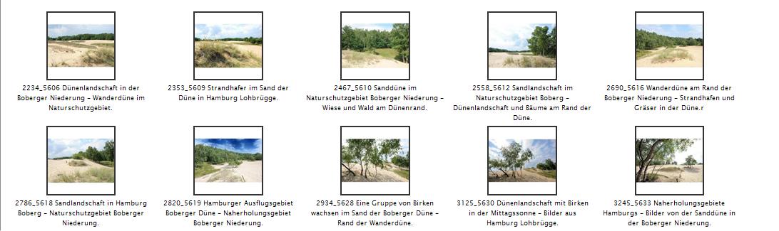 Das Naturschutzgebiet Boberger Niederung ist eines der artenreichsten in der Hansestadt Hamburg. Das etwa 350 Hektar groe Gebiet wurde 1991 unter Schutz gestellt und beinhaltet die seit 1968 bestehenden Naturdenkmler Boberger Dne und Achtermoor. 