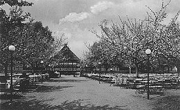 Obstgarten