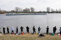 6788 Angelsport an der Elbe - Stint fischen am Elbufer Hamburg Altengamme, Binnenschiff. Zum Laichen sammeln sich die Stinte und wandern in die Unterlufe der groen Strme ein, um hier ber sandigen Stellen abzulaichen. Dies geschieht Ende Februar bis Mrz, wenn das Wasser ber 9 Grad Celsius warm ist. Die Eizahl pro Weibchen kann bis zu 40.000 betragen . 