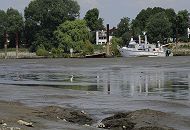 11_17528 Blick auf den Holzhafen bei Hamburg Moorfleet; der Lauf der Doveelbe wurde um 1880 verndert, so dass dieser Teil des Holzhafens immer mehr verschlickt. Bei Ebbe liegen die Boote auf, nur geringe Teile des Bereichs des Areals wird von der Hamburger Port Authority HPA noch ausgebaggert.